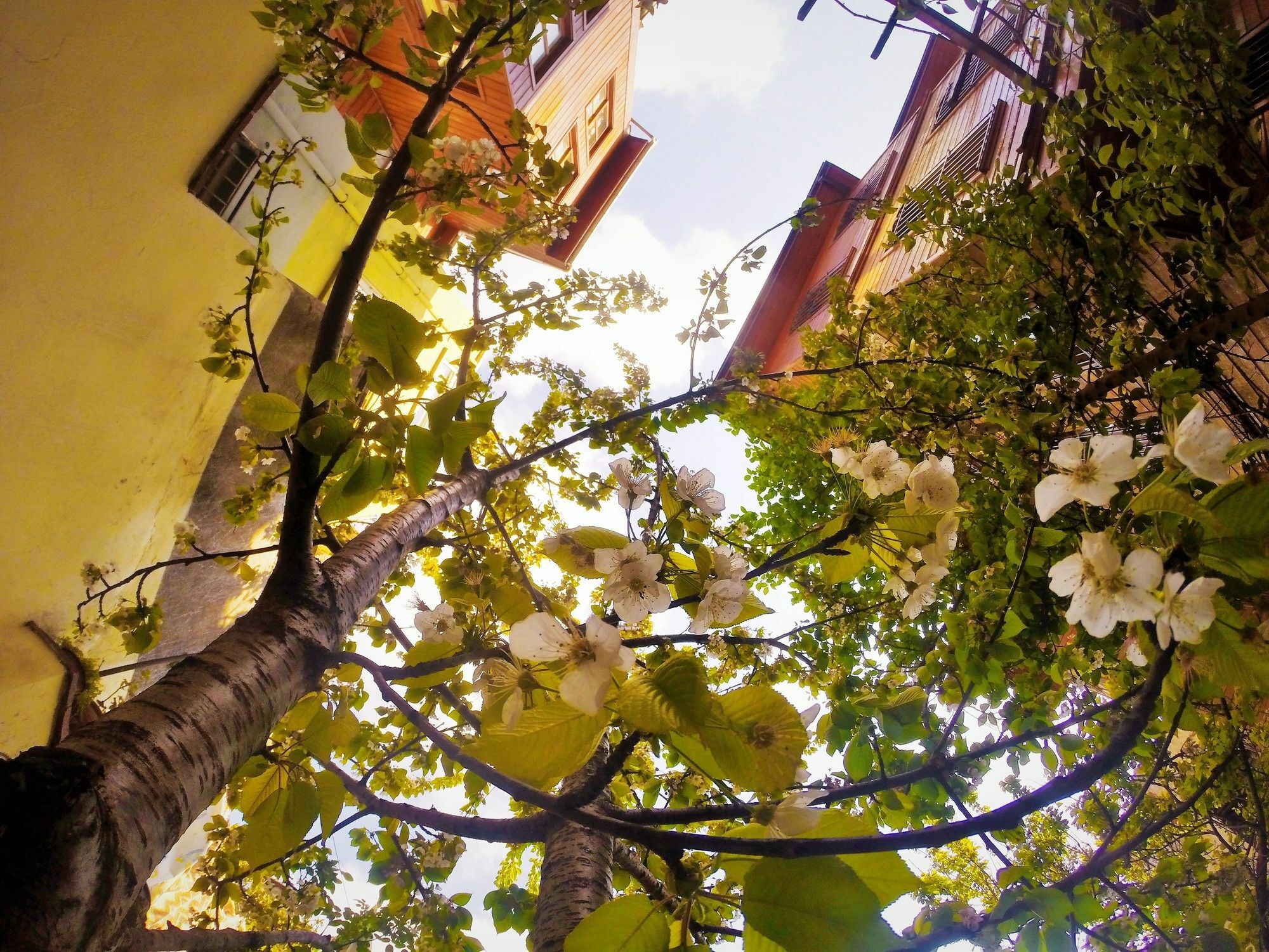 Ottoman'S Pearl Hotel Istanbul Exterior photo